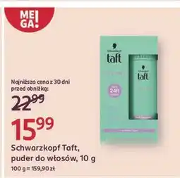 Rossmann Puder do włosów Taft True Volume oferta