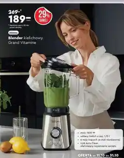 Biedronka Blender kielichowy Grand Vitamine oferta