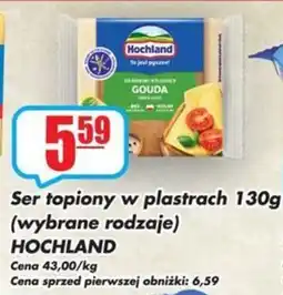 Sezamek Ser topiony w plastrach hochland oferta