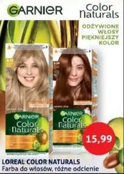 Blue Stop Loreal color naturals farba do włosów oferta