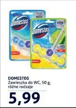 Blue Stop Domestos zawieszka do wc oferta