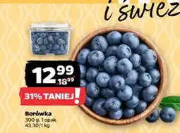 Netto Borówka amerykańska oferta