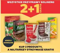 Netto Przyprawa do mięsa Bolinero oferta