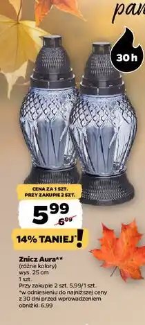 Netto Znicz aura 30h oferta