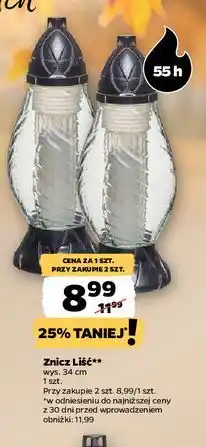 Netto Znicz liść 55 h oferta