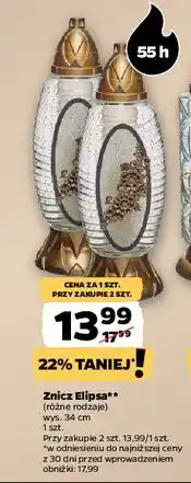Netto Znicz elipsa 55 h oferta