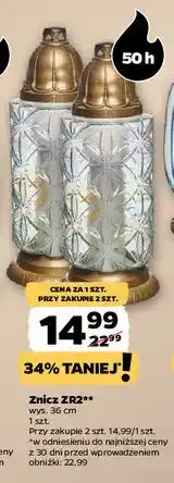 Netto Znicz zr2 Sadowscy Since 1994 oferta