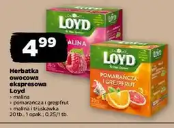 Netto Herbata malina-truskawka Loyd Tea The Magic Experience oferta