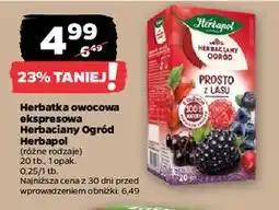 Netto Herbata prosto z lasu Herbapol Herbaciany Ogród oferta