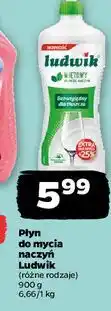 Netto Płyn do mycia naczyń miętowy Ludwik oferta