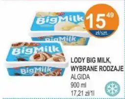 Rabat Lody big milk, algida oferta