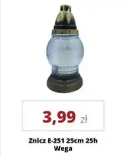 Torimpex Znicz e-251 25cm 25h wega oferta