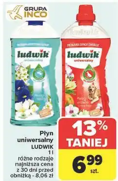 Carrefour Płyn uniwersalny kwiaty laguny Ludwik oferta