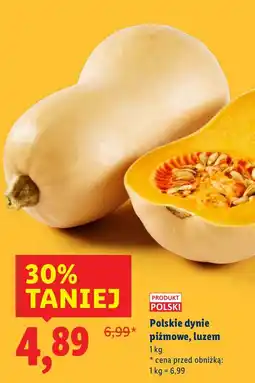 Lidl Dynia piżmowa polska Lidl oferta