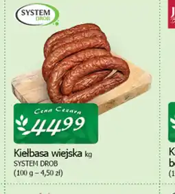 Cezar Delikatesy Kiełbasa wiejska oferta