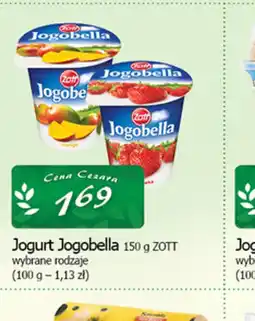 Cezar Delikatesy Jogurt Jogobella oferta