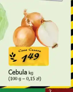 Cezar Delikatesy Cebula oferta