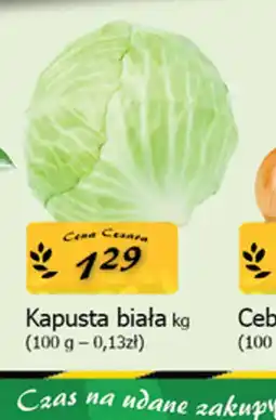 Cezar Delikatesy Kapusta biała oferta