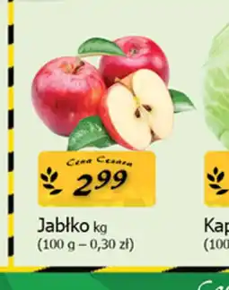 Cezar Delikatesy Jabłko oferta
