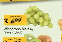 Cezar Delikatesy Winogrono białe oferta