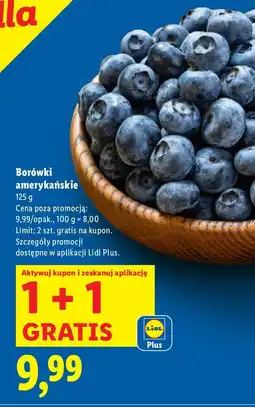 Lidl Borówki amerykańskie Lidl oferta