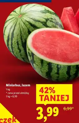 Lidl Arbuz mini Lidl oferta
