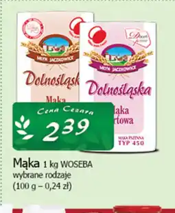 Cezar Delikatesy Mąka WOSEBA oferta
