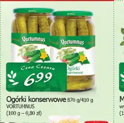 Cezar Delikatesy Ogórki konserwowe oferta