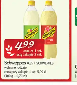 Cezar Delikatesy Schweppes oferta