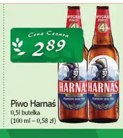 Cezar Delikatesy Piwo Harnaś oferta