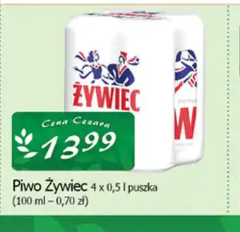 Cezar Delikatesy Piwo Zywiec oferta