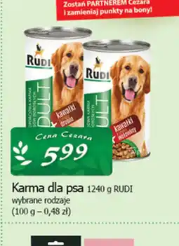 Cezar Delikatesy Karma dla psa oferta