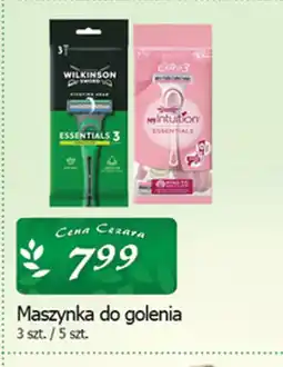 Cezar Delikatesy Maszynka do golenia oferta
