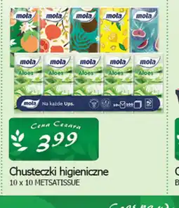 Cezar Delikatesy Chusteczki higieniczne oferta