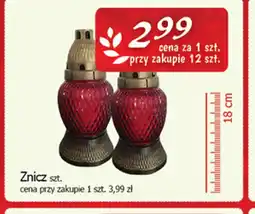 Cezar Delikatesy Znicz oferta