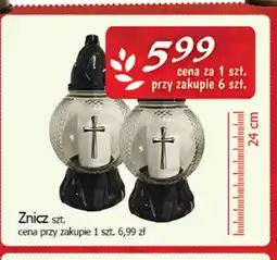 Cezar Delikatesy Znicz oferta