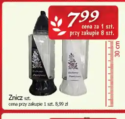Cezar Delikatesy Znicz oferta