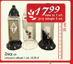 Cezar Delikatesy Znicz oferta