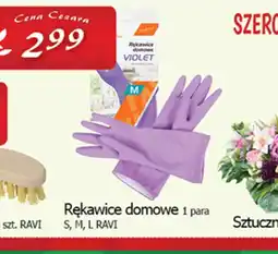 Cezar Delikatesy Rękawice domowe oferta