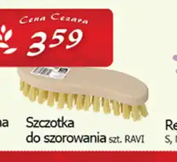 Cezar Delikatesy Szczotka oferta