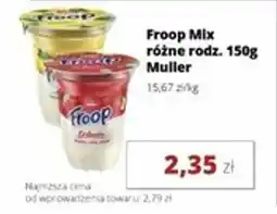 Torimpex Froop Mix Muller oferta