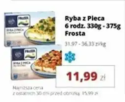 Torimpex Ryba z Pleca Frosta oferta
