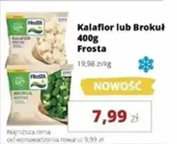 Torimpex Kalafior lub Brokuł Frosta oferta