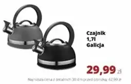 Torimpex Czajnik Galicja oferta
