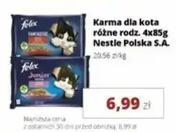 Torimpex Karma dla kota nestle polska s.a. oferta