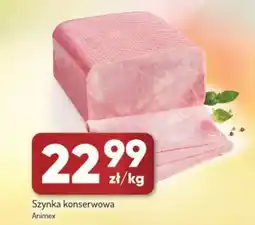 Avita Szynka konserwowa Animex oferta