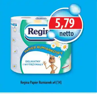 DUO-TES Regina Papier Rumianek a4 oferta