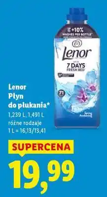 Lidl LENOR Płyn do płukania oferta