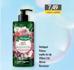 DUO-TES Herbapol polana mydło do rąk wiśnia rozmaryn oferta