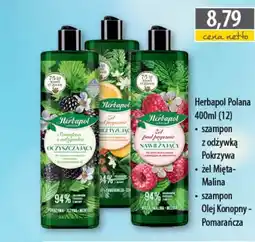 DUO-TES Herbapol Polana oferta